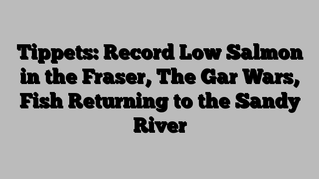 Tippets: Record Low Salmon in the Fraser, The Gar Wars, Fish Returning to the Sandy River   